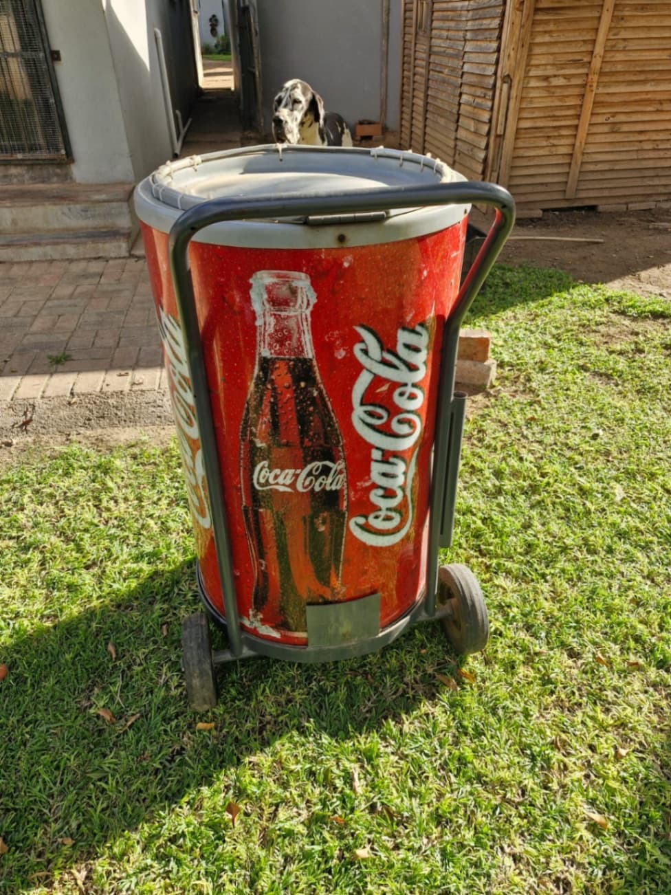 COCA-COLA COOLER BOX