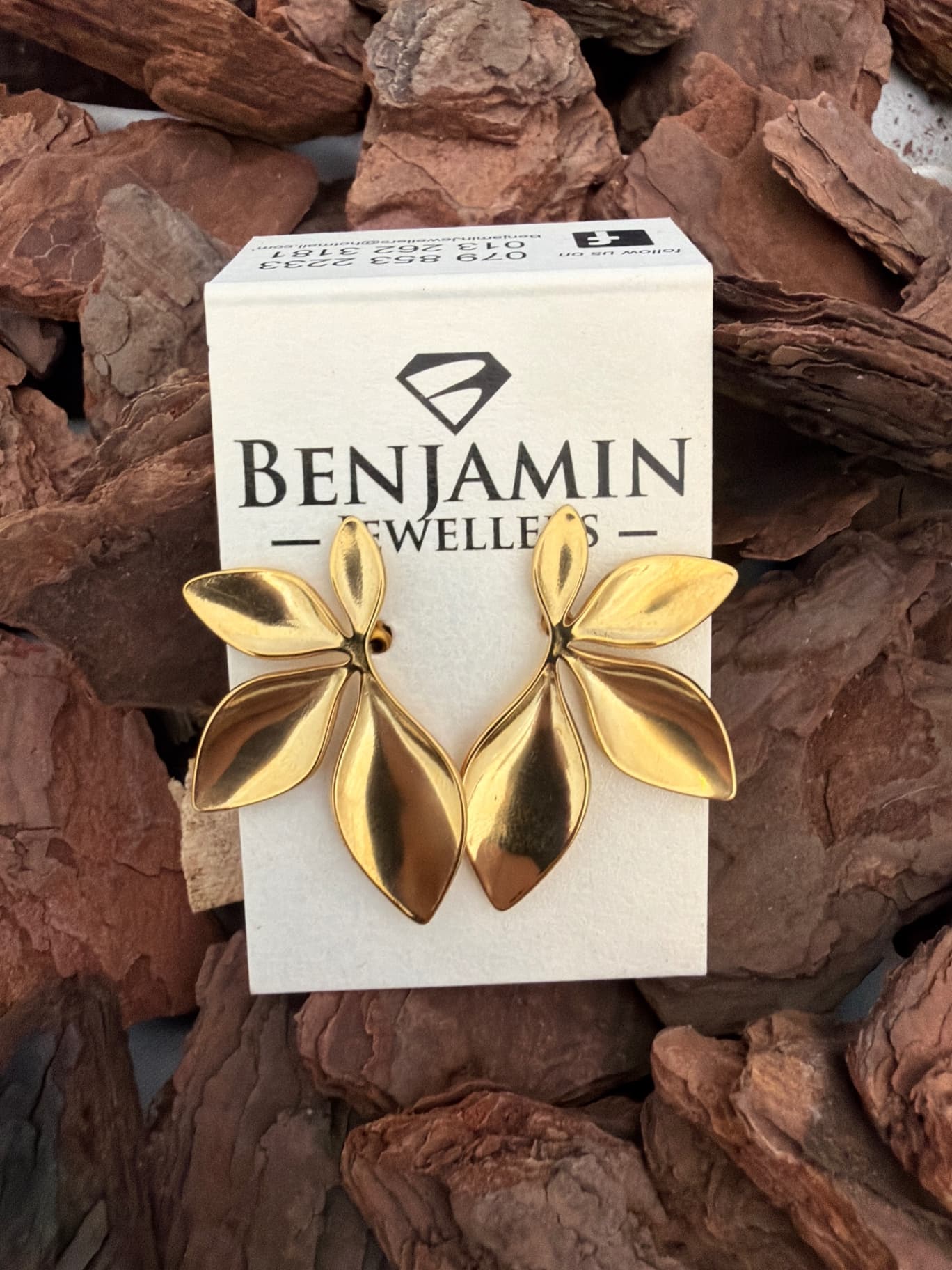 Stainless Steel Gold Earings