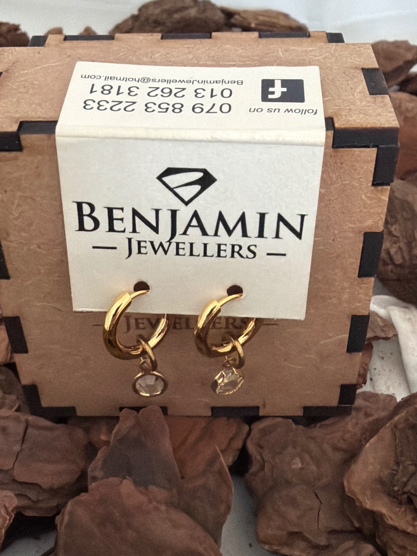 Stainless Steel Gold plated Earrings with charm