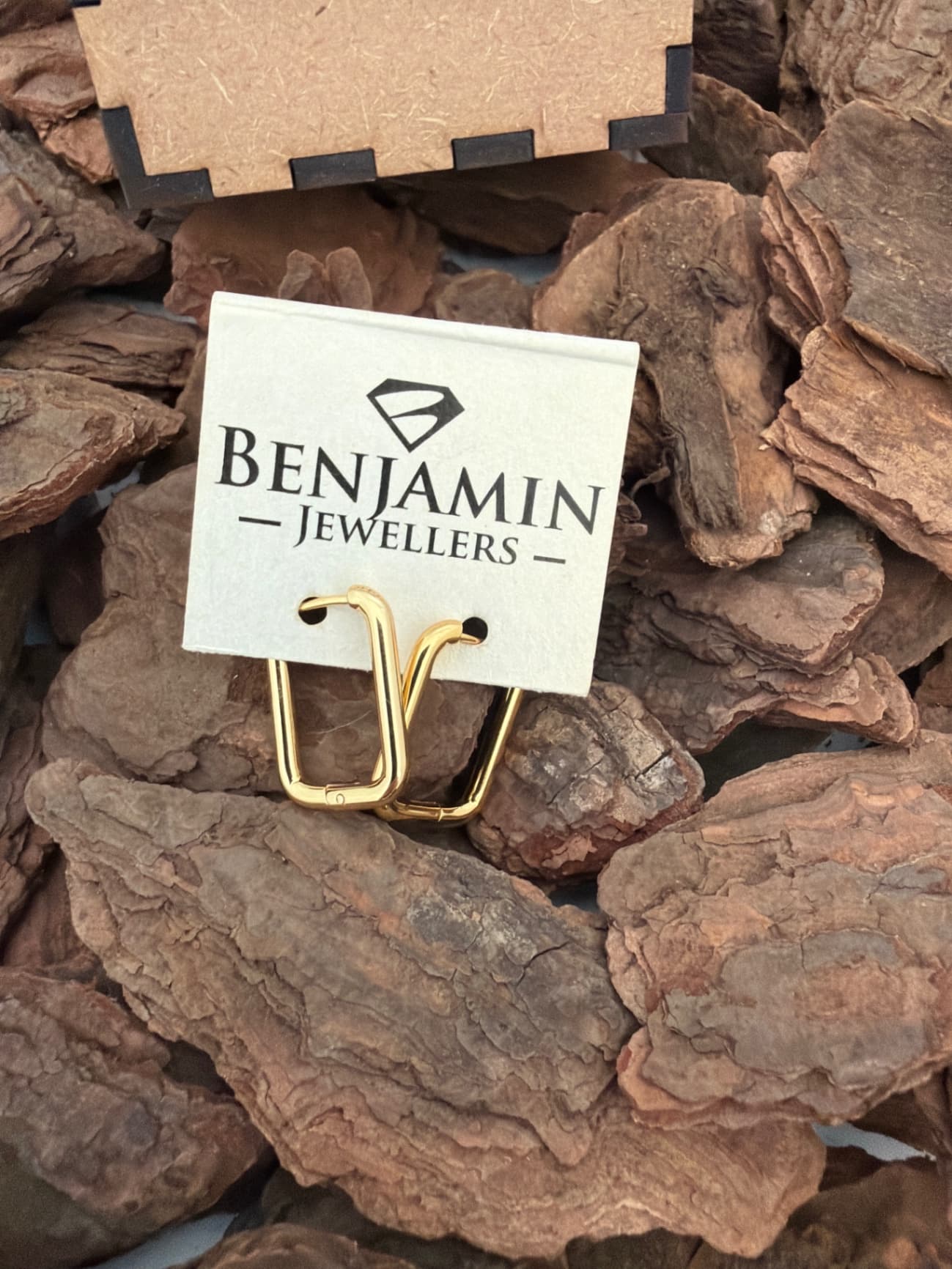 Stainless Steel Gold plated Earrings